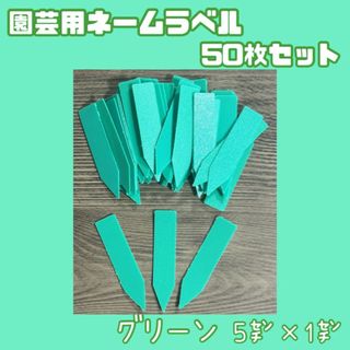 園芸用 ネーム ラベル 札 多肉 植物 苗 種 緑 50枚セット 5cm×1cm